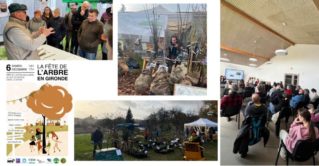 Lire la suite à propos de l’article Retour sur la 1ère Fête de l&rsquo;Arbre en Gironde, le 6 Décembre 2025
