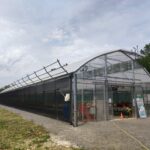 WhatsApp Image 2024-05-02 à 09.54.43_33102e42