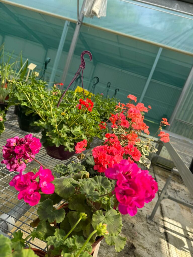 WhatsApp Image 2026-04-21 at 16.15.55