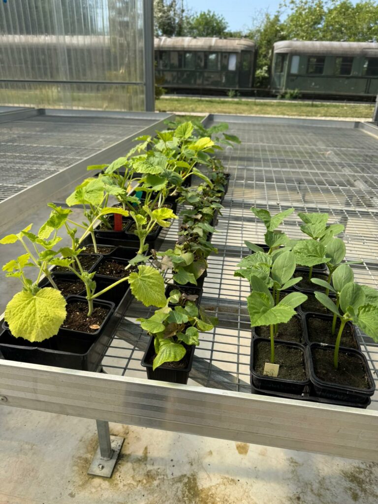 WhatsApp Image 2026-04-21 at 16.16.01