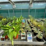 WhatsApp Image 2026-04-21 at 16.16.02