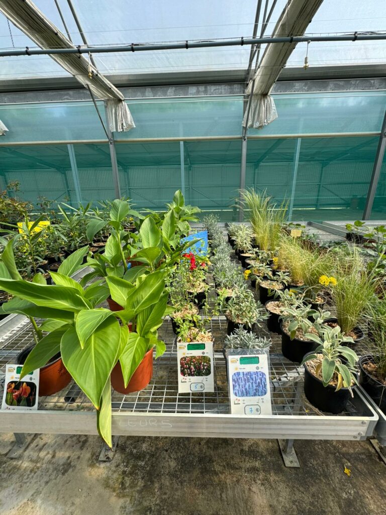 WhatsApp Image 2026-04-21 at 16.16.02