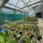 WhatsApp Image 2026-04-21 at 16.16.02m