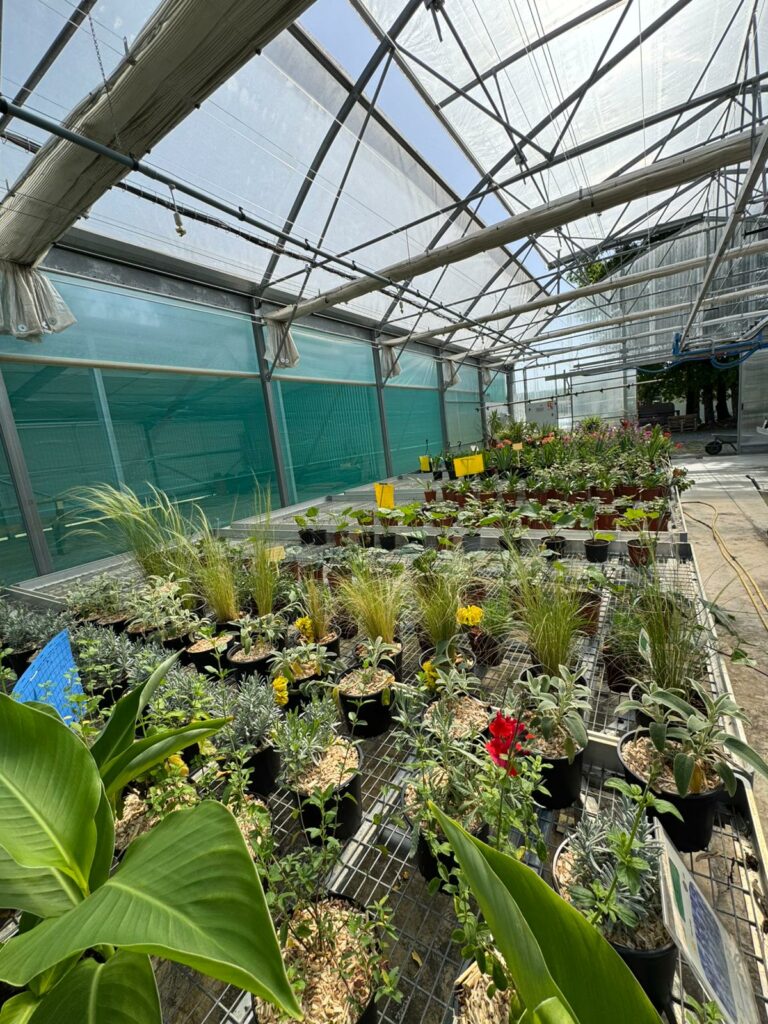 WhatsApp Image 2026-04-21 at 16.16.02m