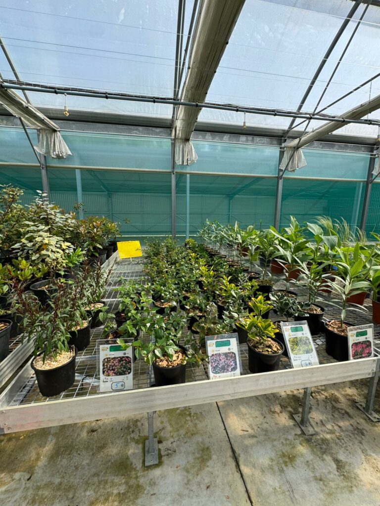 WhatsApp Image 2026-04-21 at 16.16.02p