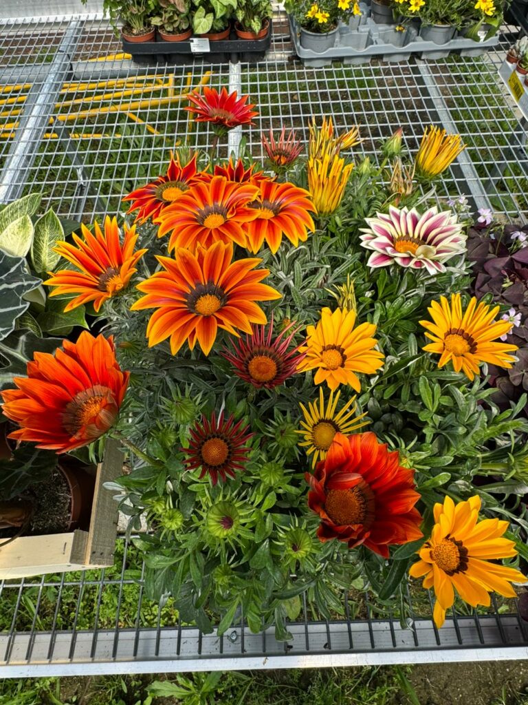 WhatsApp Image 2026-04-21 at 16.16.03y