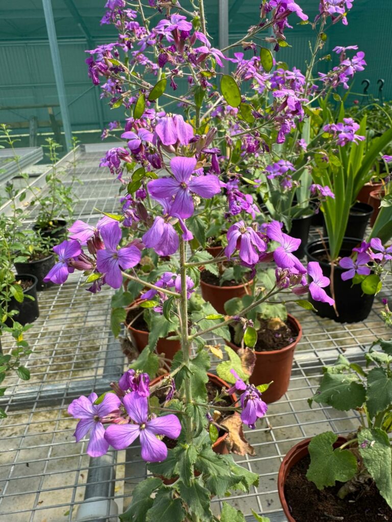 WhatsApp Image 2026-04-21 at 16.16.04e