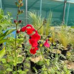 WhatsApp Image 2026-04-21 at 16.16.04r