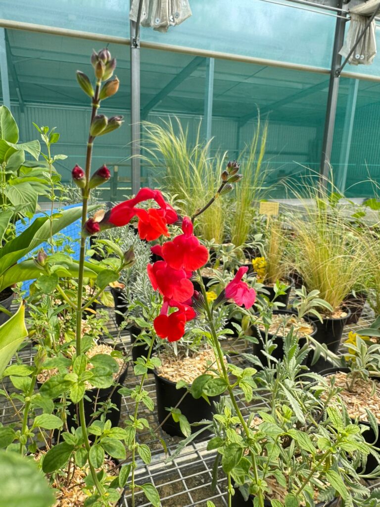 WhatsApp Image 2026-04-21 at 16.16.04r