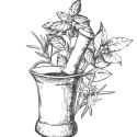 gravure plante médicinale